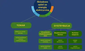 Taryfa C11 w firmie - kiedy jedna stawka się opłaca?
