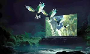 Trzy ptaki wylatują z ekranu telewizora miniled, ukazując piękno natury.